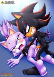 Sonic (Series) Rule 34 Image