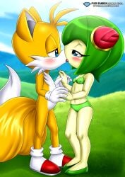 bbmbbf cosmo_the_seedrian diamond_level furry male mobius_unleashed palcomix pietros_secret_club sega sonic_(series) sonic_x tails