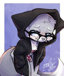 anthro ball_bulge balls blue_eyes bulge canid canine clothed clothing embarrassed eyewear fox fur furry furry_only genitals gingy_(gingy_k_fox) gingy_k_fox glasses grey_body grey_fur gris_swimsuit hoodie male male_only mammal partially_clothed solo swimwear tail topwear