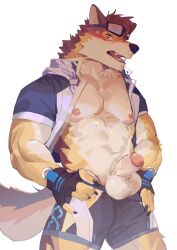 1boy abs animal_ears bara bare_pectorals barrel_(live_a_hero) beige_fur blue_male_swimwear blush brown_fur cowboy_shot dog_boy dog_ears dog_tail flaccid foreskin furry furry_male goggles goggles_on_head highres jacket large_pectorals live-a-hero looking_at_viewer male male_focus male_only male_swimwear muscular muscular_male nipples nose_blush official_alternate_costume open_clothes open_jacket orange_fur pectorals seato-hao short_hair solo stomach swim_briefs tail thick_thighs thighs uncensored