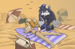 cream_the_rabbit crossover klonoa klonoa_(series) namco sambot sonic_(series)