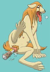 color drooling female female_only feral fullmetal_alchemist fur hair insertion long_hair nina_tucker nude open_mouth orange_hair pubic_hair pussy_juice saliva scar_(fma) solo tagme tongue vaginal_insertion vulva