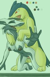 color female fur furball furry interspecies kaisura male nintendo pokemon pokemon_(species) sex straight straight_hair typhlosion vaginal_penetration