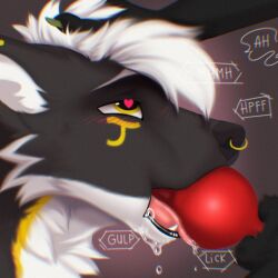 1:1 ambiguous_gender animal_genitalia anthro black_body black_fur blush bodily_fluids duo facial_piercing fur genitals gulonine hair heart_eyes heart_symbol hi_res iyami_(sona) justyenari knot male male/male mammal markings marten mustelid musteline nose_piercing nose_ring oral oral_penetration penetration penis piercing pulling_hair red_penis rexouium ring_piercing sable_(marten) saliva tau_(sona) text tongue tongue_out touching_hair white_body white_fur yellow_markings