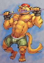 absurd_res anthro bottomwear chance_furlong clothing domestic_cat felid feline felis fingerless_gloves genitals gloves handwear hanna-barbera hat headgear headwear hi_res male mammal nipples penis penis_base pull_ups rho_art shorts solo swat_kats