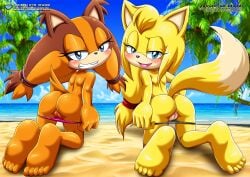 sticks the badger from sega by bbmbbf