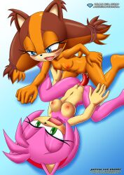 amy_rose amy_rose_(boom) bbmbbf diamond_level furry mobius_unleashed palcomix pietros_secret_club sega sonic_(series) sonic_boom sticks_the_badger sticks_the_jungle_badger sticks_the_tejon