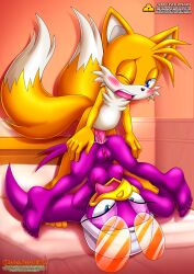 bbmbbf furry gold_level mobius_unleashed palcomix pietros_secret_club sega sonic_(series) tails wave_the_swallow