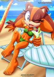 sticks the badger from sega by bbmbbf