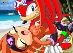 bbmbbf furry knuckles_the_echidna male mobius_unleashed palcomix sega shade_the_echidna sonic_(series) sonic_riders