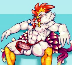 abs anthro avian balls bird bottomwear bottomwear_aside chicken clothing clothing_aside danji-isthmus erection galliform gallus_(genus) genitals gingitsune jewelry loincloth loincloth_aside looking_aside male mostly_nude necklace penis phasianid simple_background sitting solo