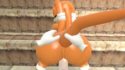 1girls 3d anal animated anthro ass canastus curvy dreadlocks echidna erection female furry hips mobian monotreme no_sound penis pov slapping_butt sonic_(series) source_filmmaker tagme tail_stimulation tail_stroking tikal_the_echidna video