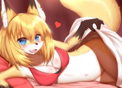 animal_ears anthro blanket blonde_hair blue_eyes blush bottomless brown_fur eyebrows_visible_through_hair fang female fox_ears fox_girl fox_tail furry furry_female heart highres horokusa_(korai) korai looking_at_viewer navel no_humans open_mouth original short_hair smile tail white_fur