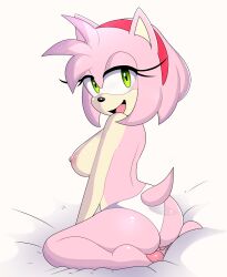 amy rose from sega by apinkgrape