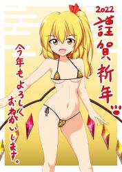 flandre_scarlet kagayama_hajime small_breasts tagme tiger_print touhou vampire