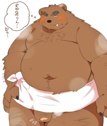 0119_muu 2022 anthro belly blush brown_body genitals japanese_text kemono male male_only mammal moobs overweight overweight_male penis solo steam text towel ursid