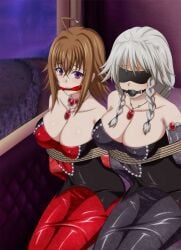 2girls arms_behind_back ball_gag big_breasts blindfold bondage bossbb41 breasts brown_hair cleavage collar collarbone covered_nipples dress edit eyebrows_visible_through_hair female female_only femsub gag gagged grayfia_lucifuge grey_hair hair_between_eyes high_school_dxd looking_at_viewer milf mother multiple_girls multiple_subs necklace official_art purple_eyes red_dress rope venelana_gremory