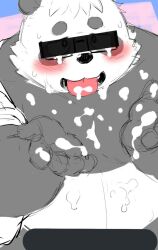 2022 anthro belly black_body black_nose blush bodily_fluids censor_bar censored censored_face cum eyewear genital_fluids giant_panda glasses humanoid_hands ineffective_censorship kemono male mammal overweight overweight_male sasayama_akira sessa solo tongue tongue_out ursid virtual_youtuber white_body