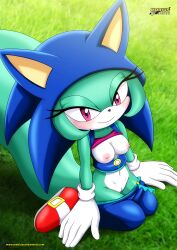 archie_comics bbmbbf furry mobius_unleashed palcomix sega sonar_the_fennec sonic_(series) sonic_the_hedgehog_(cosplay)