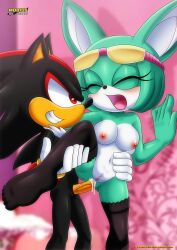 anal archie_comics bbmbbf furry mobius_unleashed palcomix sega shadow_the_hedgehog sonar_the_fennec sonic_(series)