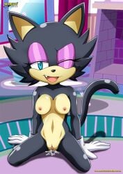 archie_comics bbmbbf furry mobius_unleashed palcomix sasha_cat sega sonic_(series)