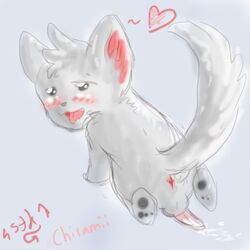 chillarmy color furry male male_only minccino nintendo pokemon pokemon_(species) solo