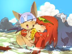 anthro bat bikini blush bone_(artist) breast_grab breasts day echidna female fur furry interspecies knuckles_the_echidna male mammal monotreme nude outdoors rouge_the_bat sonic_(series) straight swimsuit wink