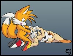 anthro canine cream_the_rabbit epilepticgerbil female fox from_behind fur furry interspecies kneeling looking_at_another looking_back male mammal nude rabbit sega sex side_view sonic_(series) straight tagme tails