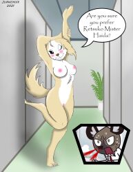 absurd_res aggressive_retsuko anthro blood bodily_fluids breasts canid canine canis dancing domestic_dog duo female genitals haida hi_res hyaenid inui_(aggressive_retsuko) juanonyx male male/female mammal nosebleed nude office plant pussy sanrio screaming smooth_fur window