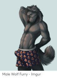 anthro boner boxer_briefs chibi-marrow erection furry gay stretching wolf