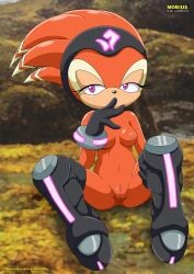 bbmbbf furry mobius_unleashed palcomix sega shade_the_echidna sonic_(series)