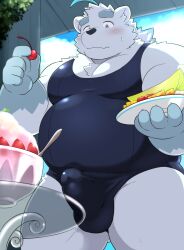 2022 absurd_res anthro balls_outline beartouma_0517 belly blush bulge clothed clothing erection erection_under_clothing fur genital_outline hi_res humanoid_hands kemono knights_college male mammal one-piece_swimsuit overweight overweight_male paul_(knights_college) penis_outline polar_bear school_swimsuit solo solo_male swimwear ursid ursine video_games visual_novel white_body white_fur