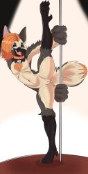 absurd_res anthro beak collar dancing female flat_chested fumicake genitals hi_res hybrid pole pole_dancing pole_grab solo stripper_pole vulva