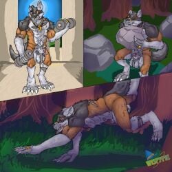 age_difference all_fours animal_genitalia anthro ball_tuft balls belly_tuft black_body black_fur blue_eyes boulder brown_body brown_fur canid canine canine_genitalia casual_nudity chest_tuft claws comic comic_panel crouching detailed_background digital_drawing_(artwork) digital_media_(artwork) digitigrade dumbbell exercise fangs finger_claws forest fur fur_markings genitals grass greying_hair hi_res inside jewelry lifting_boulder lifting_object light male mammal markings moon moonlight multicolored_body multicolored_fur mythological_canine mythological_creature mythology necklace night notched_ear older_male outside penis plant pubes ring rock running scar sheath sky solo standing steve_hayes tail teeth toe_claws tree tuft watermark weightlifting weights werecanid werecanine werecreature werewolf white_body white_fur wispypie workout