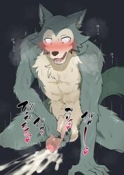 2025 5_fingers alternate_version_at_source anthro balls beastars biped black_background black_eyebrows black_eyes bodily_fluids brown_nose canid canine canis censored_version_at_source cheek_tuft chest_tuft claws cum cum_on_ground cumshot digital_media_(artwork) drooling ejaculation erection eyebrows facial_tuft fangs finger_claws fingers foreskin fur genital_fluids genitals glans glistening glistening_balls glistening_genitalia glistening_glans glistening_penis grey_body grey_fur grey_tail hand_on_own_penis hand_on_penis heart_symbol hi_res humanoid_genitalia humanoid_penis japanese_text kneeling legoshi_(beastars) looking_down male male_anthro mammal masturbation motion_lines multicolored_body multicolored_fur musk nude nude_anthro nude_male open_mouth partially_retracted_foreskin penile penile_masturbation penis pink_glans saliva simple_background solo sweat sweaty_body tail tan_balls tan_body tan_fur tan_penis teeth text thin_eyebrows translation_request tuft two_tone_body two_tone_fur vein veiny_penis white_sclera wolf zaramecatnyar
