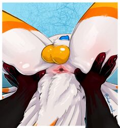 anal anthro anus avali backsack balls butt butt_focus duo feathers fur genitals hand_on_butt hi_res lying male male/male on_back penis spread_legs spreading suffer_(phantom76) tail vikas vikas_avali white_body white_fur yellow_body yellow_fur