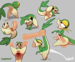 absurd_res ahe_gao anal anal_prodding anal_sex anus ass bodily_fluids cum cum_expulsion cum_in_ass cum_in_intestines cum_inside deep_throat duo female feral feral_penetrated flashheart generation_5_pokemon genital_fluids genitals hi_res human human_on_feral human_penetrating human_penetrating_feral internal interspecies looking_pleasured male male/female mammal nintendo open_mouth oral oral_penetration penetration penile penile_penetration penis_in_ass pokemon pokemon_(species) presenting presenting_hindquarters sex shallow_penetration size_difference smile snivy tail tail_anus vulva x-ray_view zoophilia