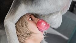 1dog 1girls 3d 4k ashley_graham big_breasts canine capcom female female_focus hi_res large_breasts light_skin mehlabs nipples nude nude_female resident_evil sheva_alomar voluptuous voluptuous_female zoophilia