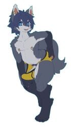 absurd_res anthro aruuraaru blue_eyes clothed clothing ear_piercing ear_ring erection genitals hi_res kemono male nipple_piercing nipple_ring nipples penis piercing ring_piercing simple_background solo tail underwear underwear_only vein white_background