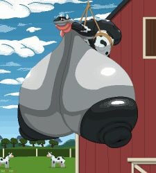 animated anthro anthro_focus ara_(cornchip21) areola ass big_areola big_breasts big_butt big_nipples black_areola black_nipples bodily_fluids bovid bovine breast_expansion breast_reduction breasts cattle clothing expansion female feral generation_6_pokemon greninja group hi_res horn huge_areola huge_breasts huge_butt huge_nipples hyper hyper_breasts lactating legwear loop mammal milk multicolored_body nintendo nipples nude pokemon pokemon_(species) red_eyes rope solo_focus suspension tairedfox thigh_highs trio two_tone_body