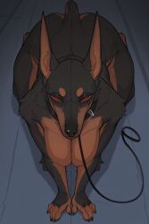 all_fours anthro big_breasts black_fur breasts brown_fur canine collar dobermann female female_anthro female_only kneeling leash long_ears looking_at_viewer nude red_eyes ringed_eyes solo