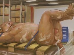 anal anal_sex ankles_tied anthro anus arms_tied ass balls bent_legs bondage bound bovid bovine cattle digital_media_(artwork) dildo dildo_in_ass dildo_insertion duct_tape english_text feet fur gag gagged genitals horn inside looking_at_viewer lying male mammal nude object_in_ass on_back orcfun pallet penetration raised_hips sex_toy sex_toy_in_ass sex_toy_insertion solo sticker tail tape text