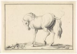 1730 18th_century absurd_res ancient_art anus ass backsack balls bernard_picart dated equid equine feral genitals grass hatching_(art) hi_res hooves horse horseshoe leaf looking_down male male_feral mammal mane monochrome object_in_ass plant public_domain quadruped raised_hoof shaded side_view signature simple_background smoke smoking_pipe solo standing tail traditional_media_(artwork) unguligrade