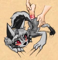 2025 3_fingers 3_toes adult_on_child adult_on_young age_difference aged_down all_fours anthro ass_up biped bite blush blush_lines canid canid_demon canine cheek_tuft claw_marks collar collar_only color_edit colored demon digitigrade disembodied_hand disembodied_penis duo eyebrows eyelashes faceless_character faceless_male facial_tuft feet female female_anthro female_focus fingers flat_chested fluffy fluffy_tail fur genitals glans hair head_turned hellaverse hellhound helluva_boss holding_penis human humanoid_genitalia humanoid_penis imminent_anal larger_male lolicon long_hair looking_back loona_(helluva_boss) male male/female mammal mythological_canine mythological_creature mythology nude nude_anthro nude_female older_male paws penetration penile penile_penetration penis pointy_ears prick_ears prodding pupils shallow_penetration shoulder_blades simple_background size_difference slit_pupils smaller_female smaller_penetrated snout solo_focus soulcentinel spiked_collar spikes squitoo tail third-party_edit toes tuft young young_anthro young_female young_penetrated younger_female younger_penetrated