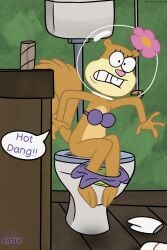 absurd_res accent anthro bathroom bikini bikini_bottom bikini_top clothed clothing female floor hi_res mammal nickelodeon panties panties_down partially_clothed pooping_in_toilet rodent sandy_cheeks scat sciurid sitting sitting_on_toilet solo southern southern_accent spongebob_squarepants squirrel swimwear texas thedispenser69 toilet toilet_paper toilet_use tree_squirrel two-piece_swimsuit underwear underwear_down wood wood_floor