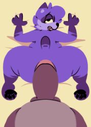 anal animated anthro ass big_butt big_penis duo first_person_view genitals looking_at_viewer mala_(malafox) malafox male male/male male_pov mammal penis procyonid purple_body raccoon simple_background slightly_chubby