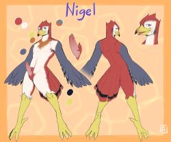 1boy 2021 avian beak exsys genitals hi_res male model_sheet nigel_(exsys) penis