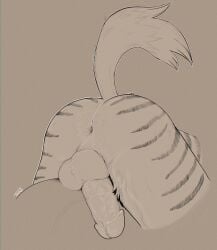 anthro anus big_penis close-up cut_(disambiguation) felid foreplay furniture genitals hi_res humanoid_genitalia humanoid_penis hyena male male/male mammal pantherine penis siggy sofa solo straddling striped_hyena stripes taylor_(disambiguation) themutt thesiggy tiger