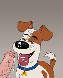 max (the secret life of pets) from illumination entertainment by unclejock