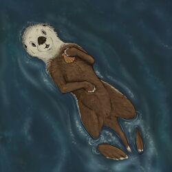 absurd_res animal_genitalia anus female feral floating furvilous genitals hi_res mammal mustelid otter partially_submerged sea seashell shell solo vulva water